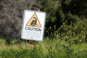 RV'ing in Texas - be alert to snakes - Rockport RV park